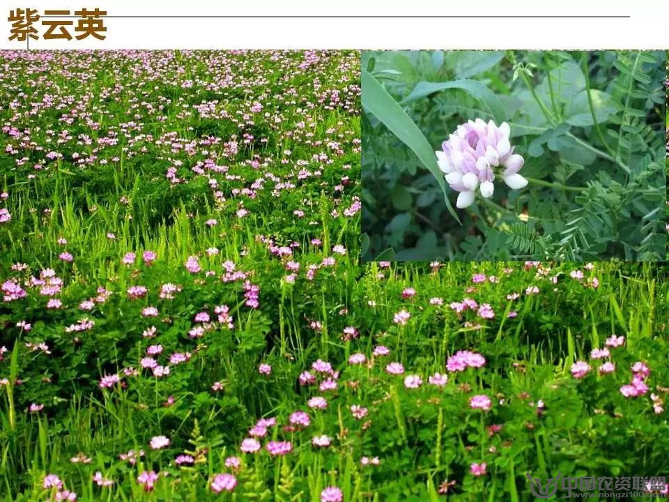 附件
