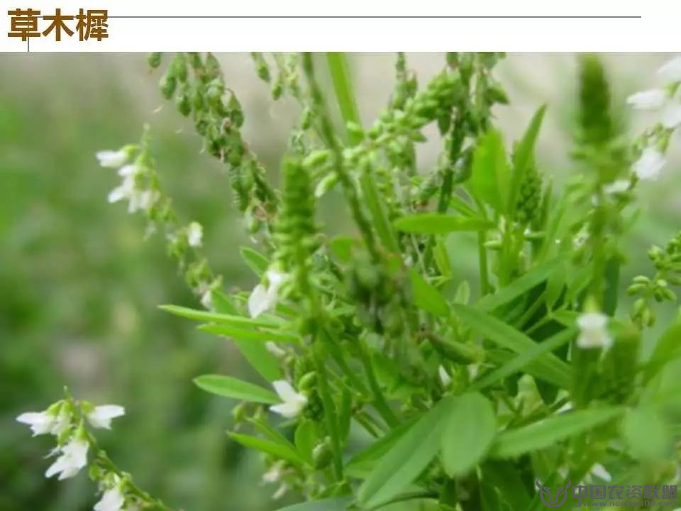 附件
