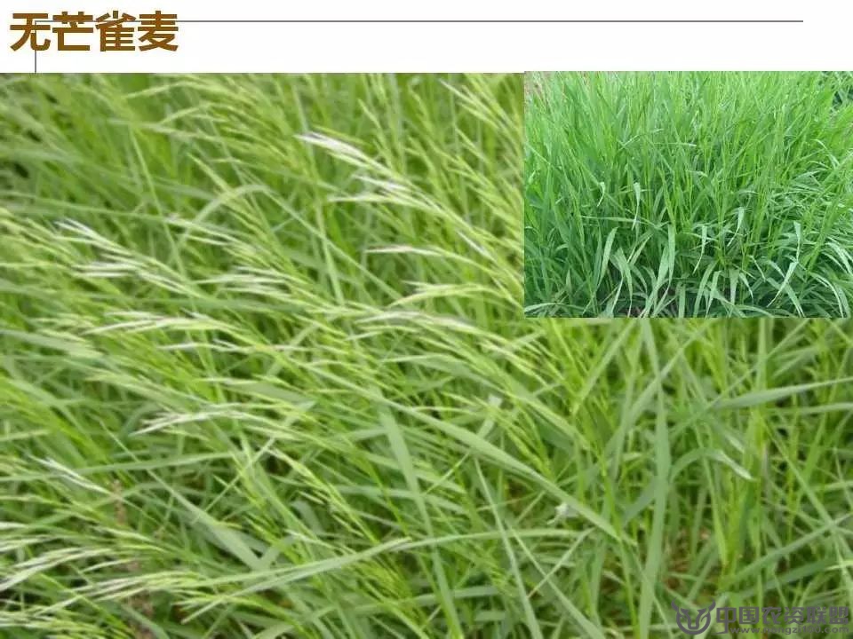 附件
