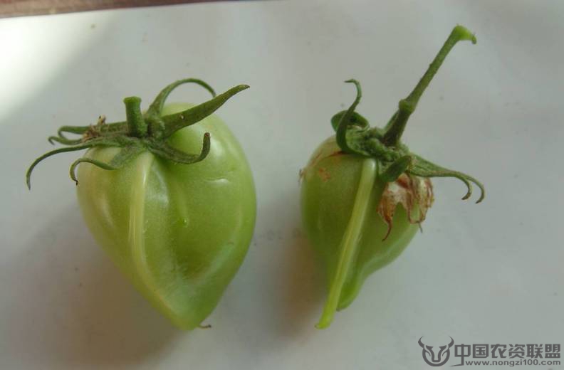 附件