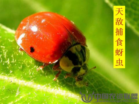 附件