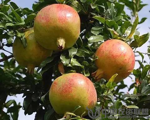 附件
