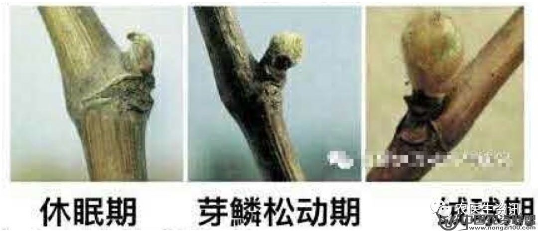 附件