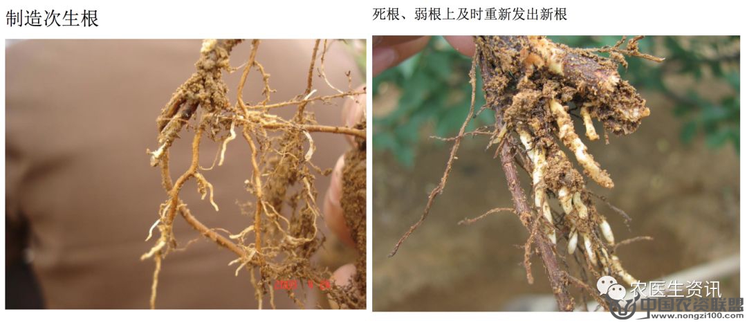 附件