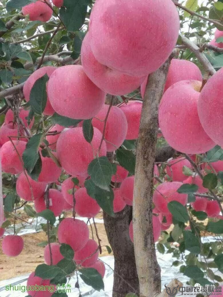 附件