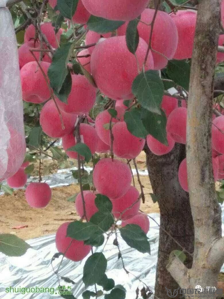 附件