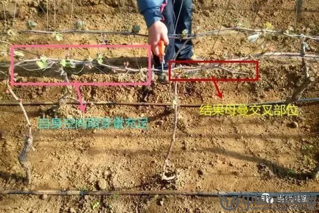 附件
