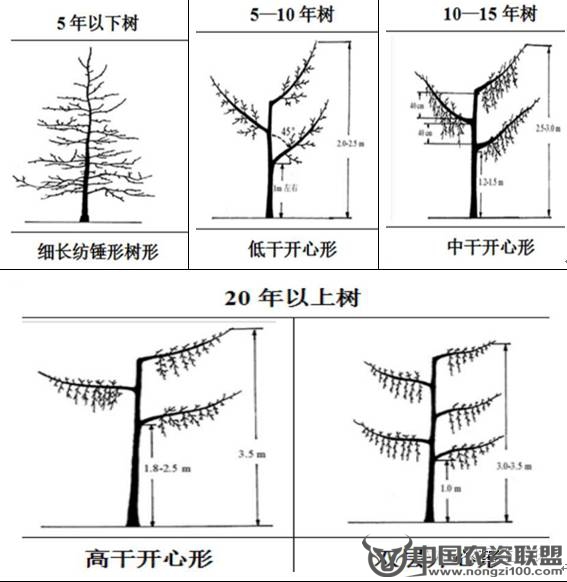 附件