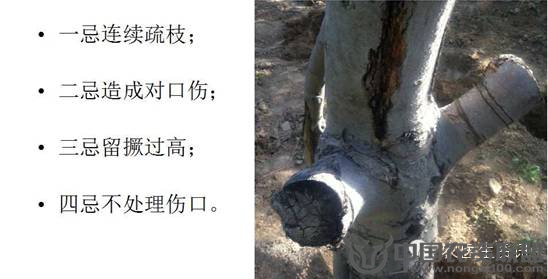 附件