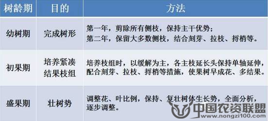 附件