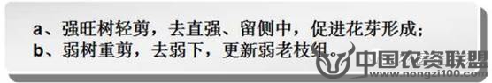 附件