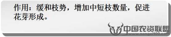附件