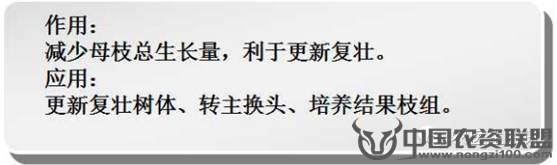 附件