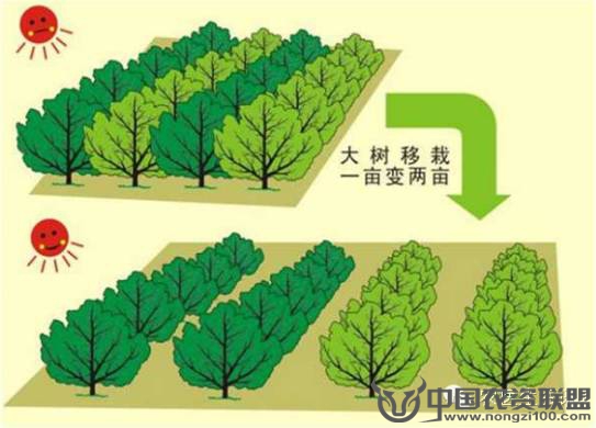 附件