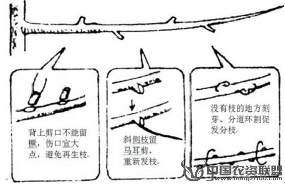附件