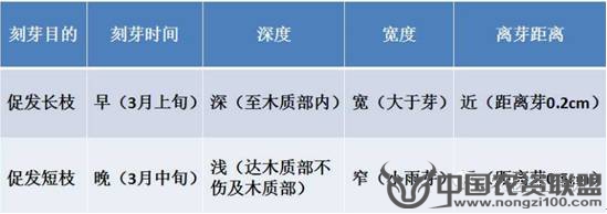 附件