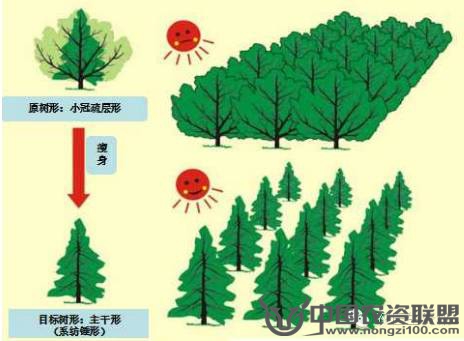 附件