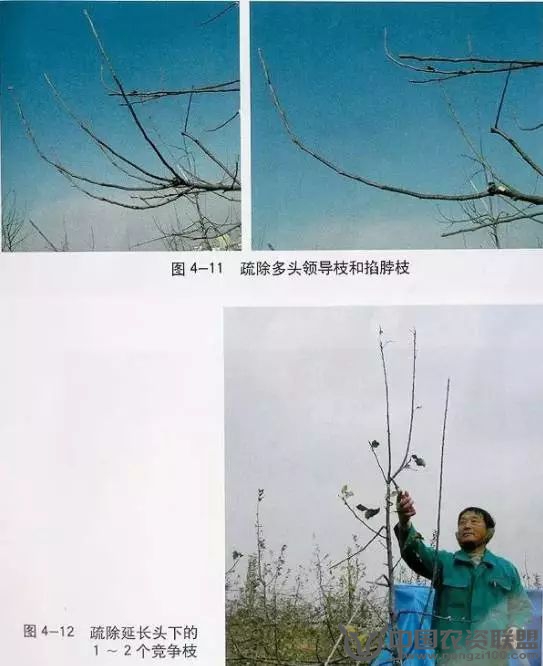 附件
