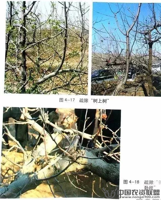 附件