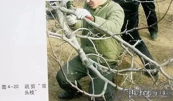 附件