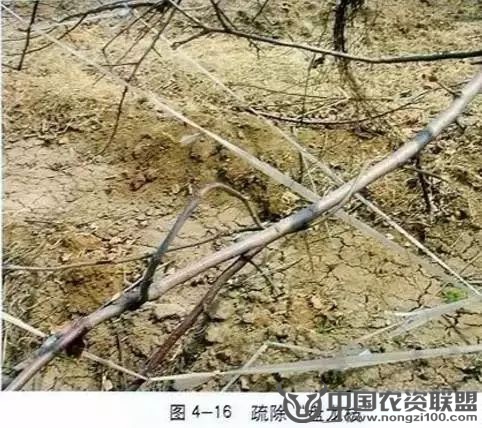附件