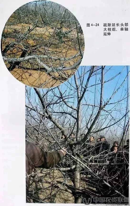附件