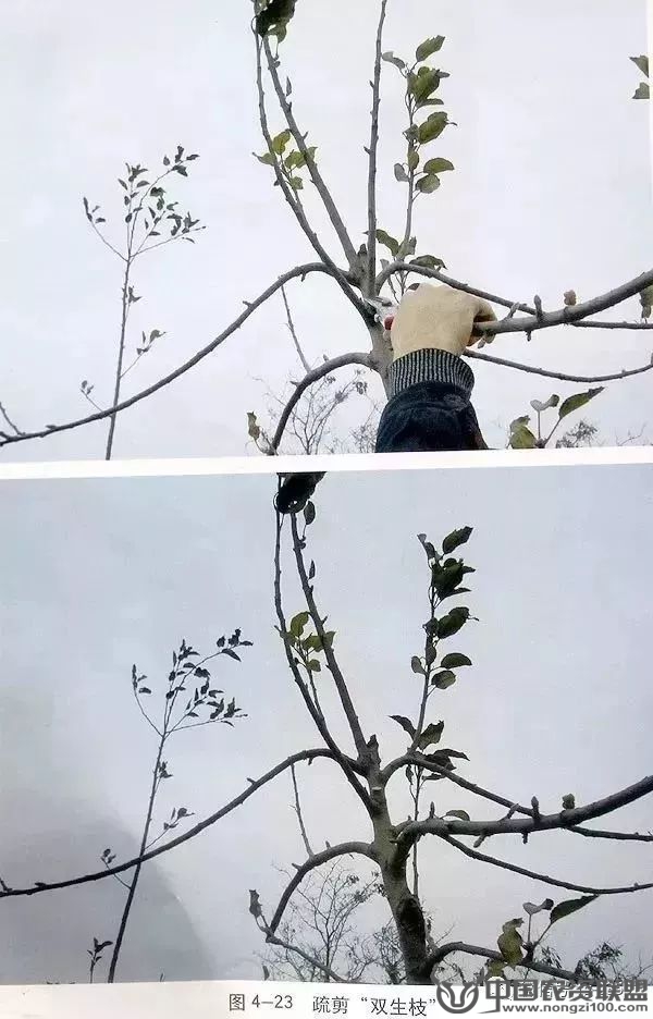 附件