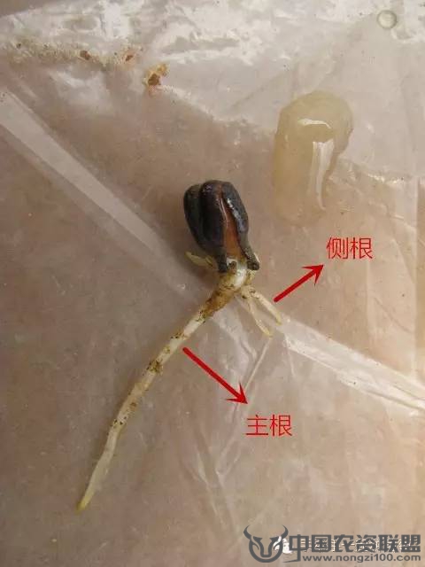 附件