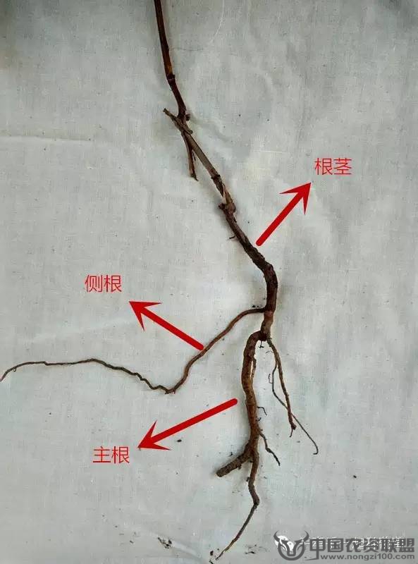 附件