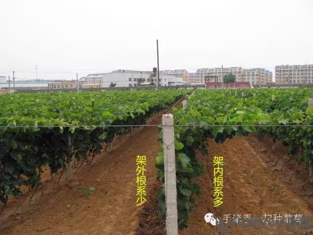 附件
