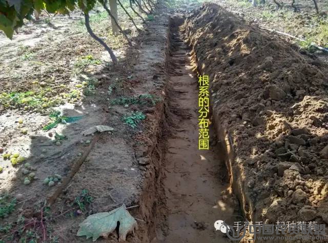 附件