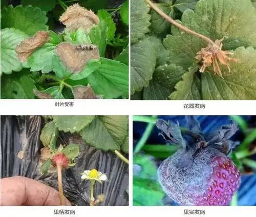 附件