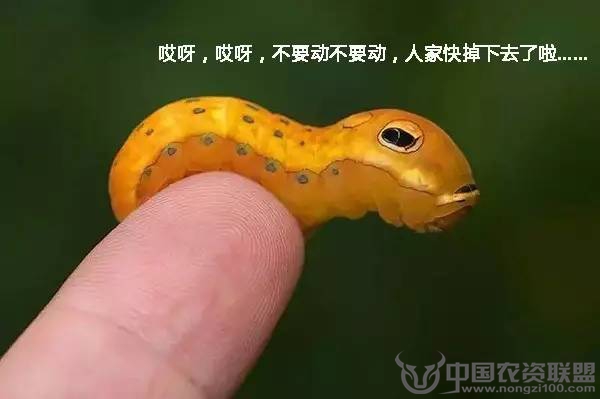 附件
