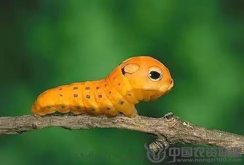 附件