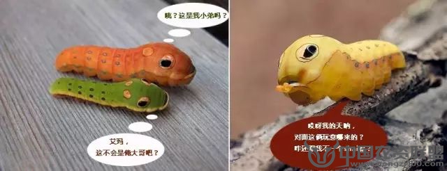 附件