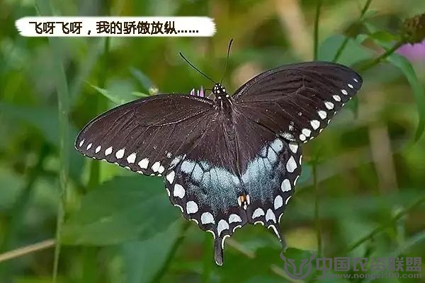 附件