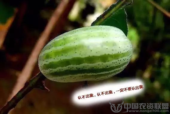 附件