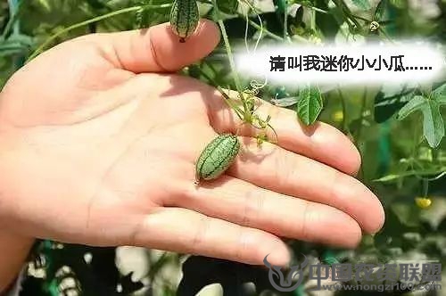 附件