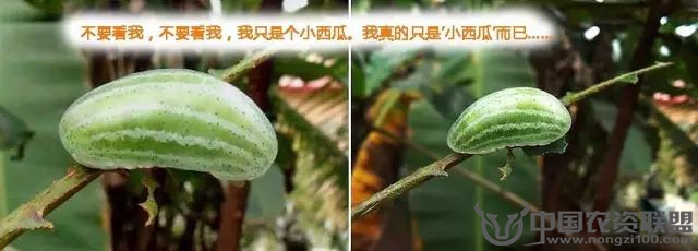 附件