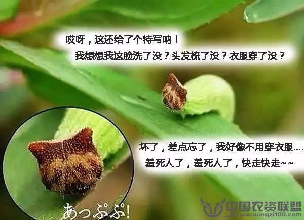 附件