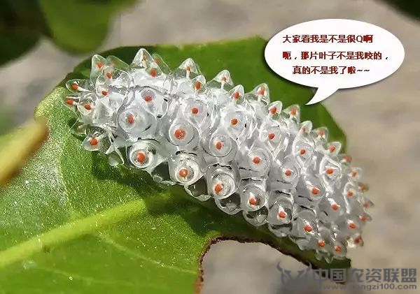 附件