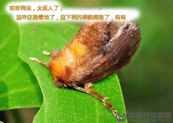 附件