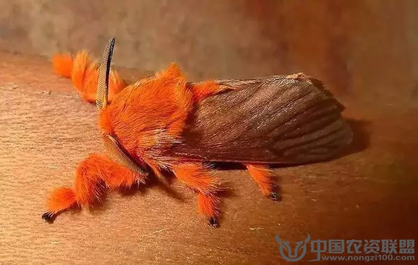 附件