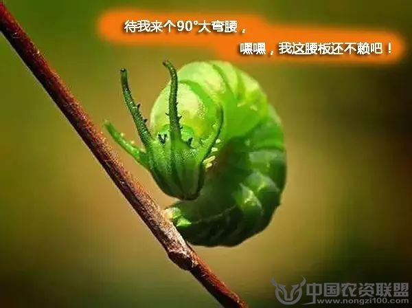 附件