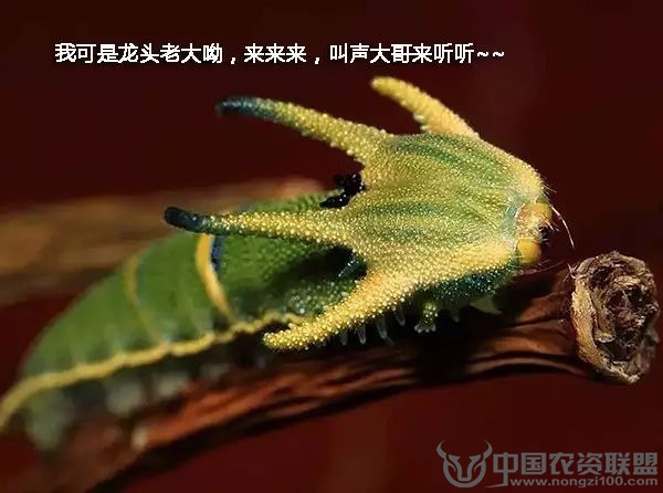 附件