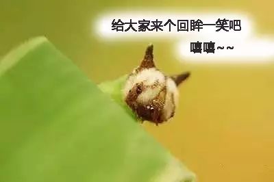 附件