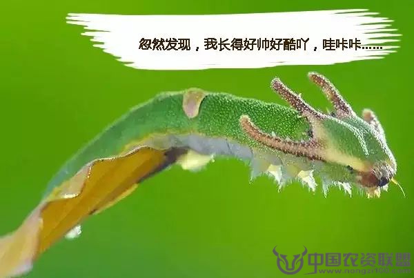 附件