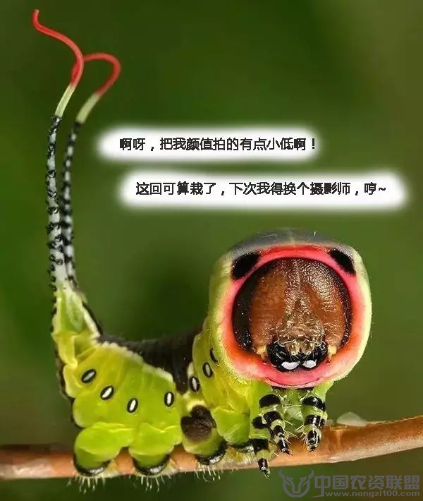 附件