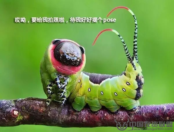附件