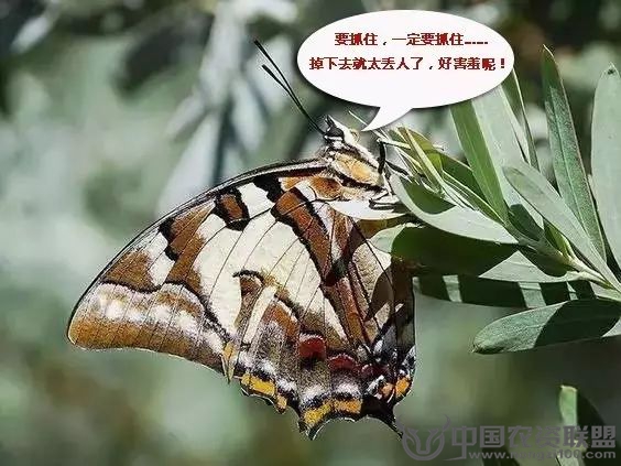 附件